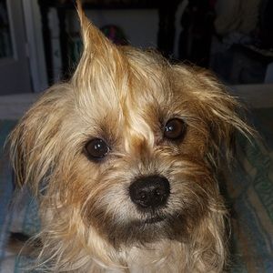 Meet your Posher, Cori